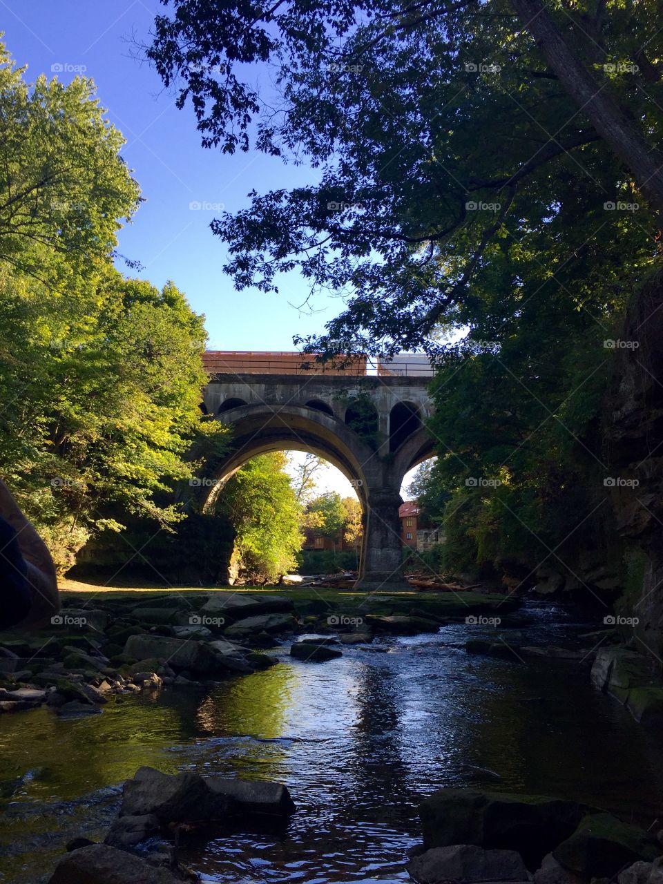 Water, River, No Person, Tree, Outdoors