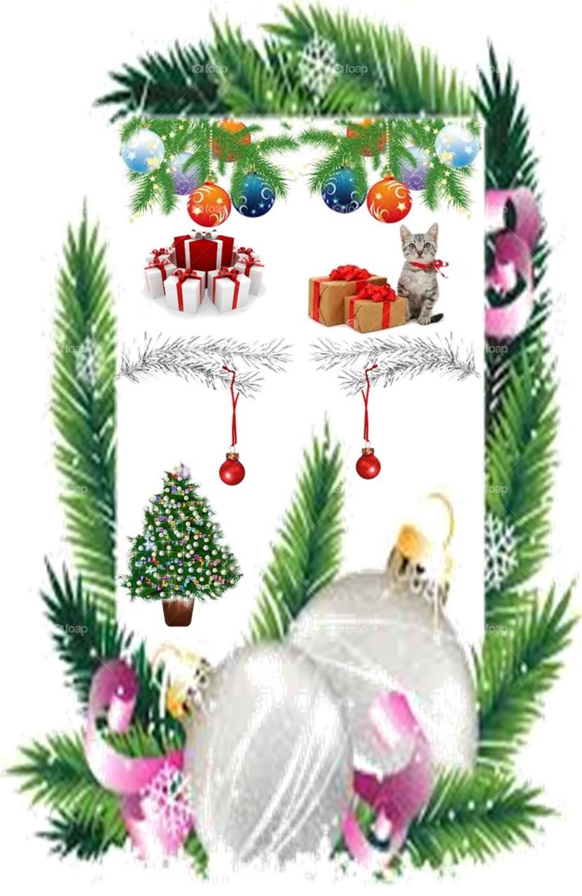 Christmas, Decoration, Winter, Celebration, Pine