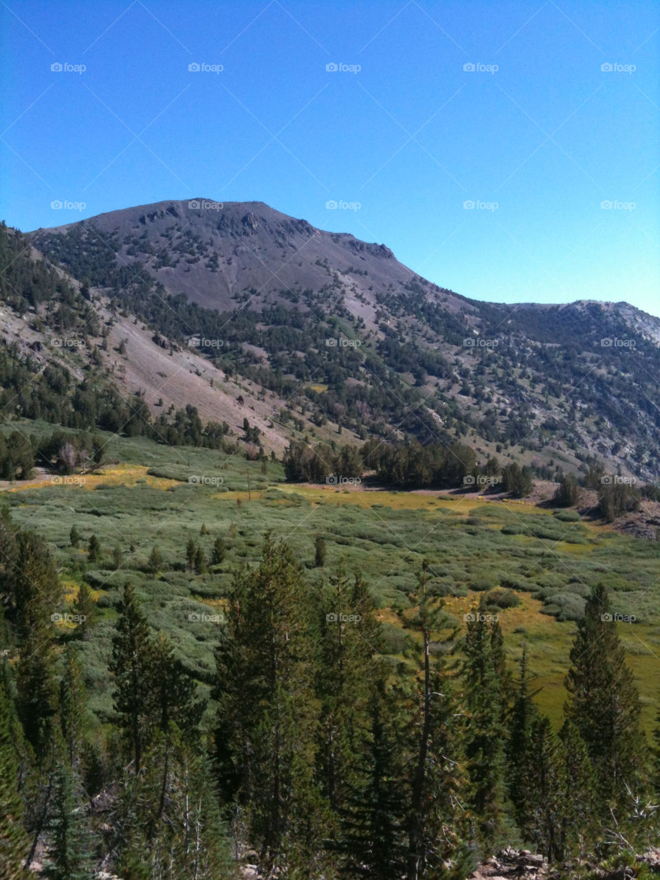 sky meadow mountain hiking by melody