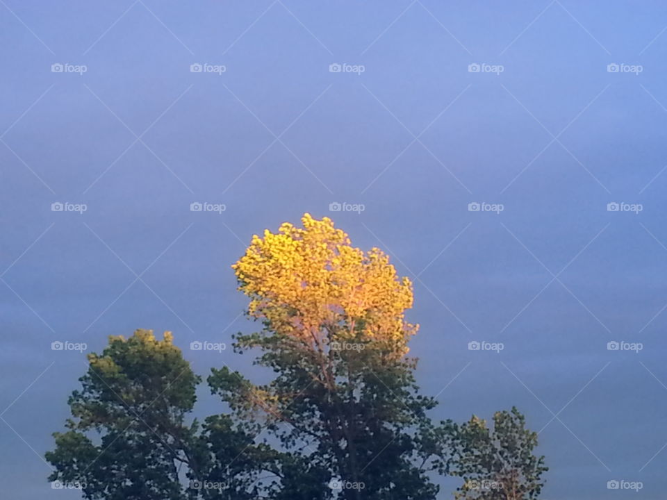 Sky Casting Amazing Color