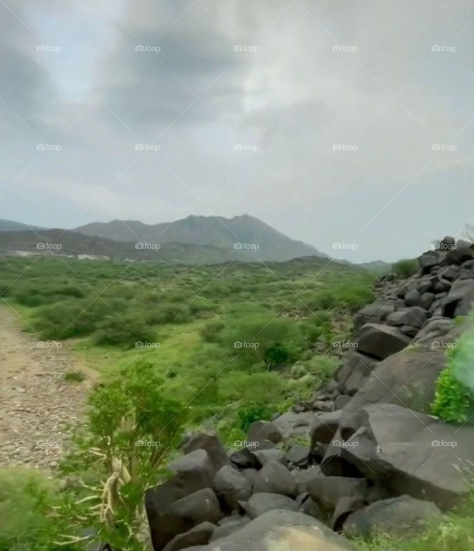 I need your support guys, I'm very, very poor, poor