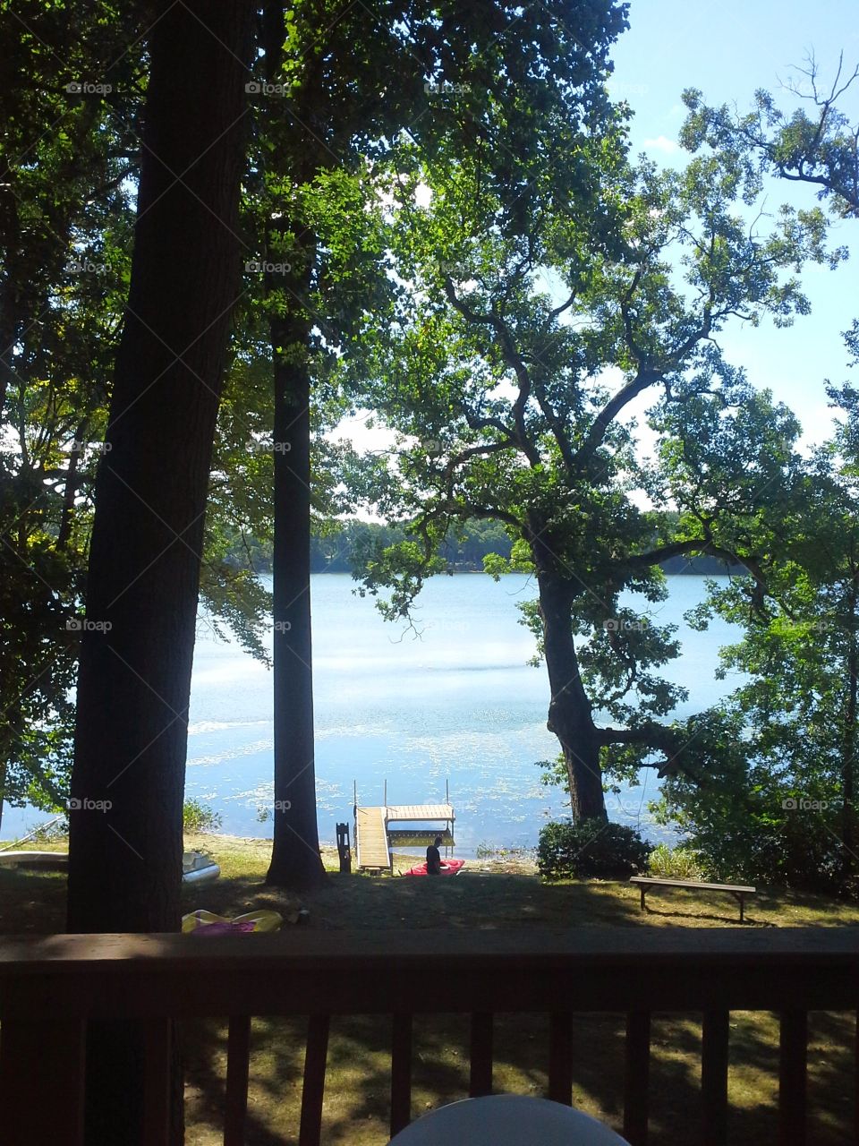 Summer at the Lake House
