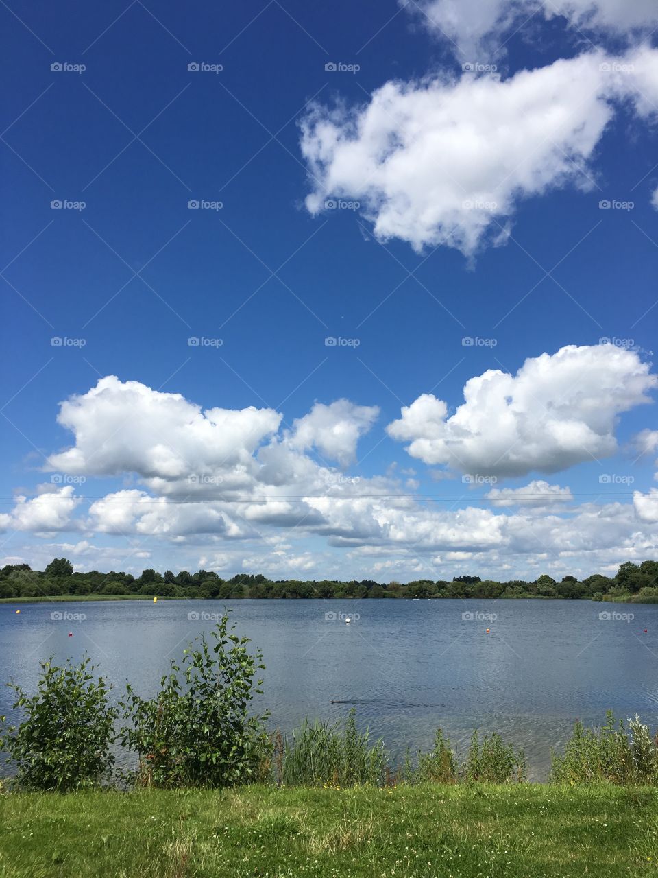 Looking out over the lake, Cotswolds, UK