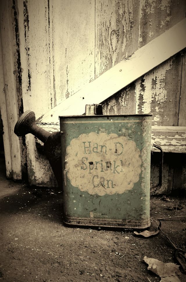 The Han-D Sprinkle Can
