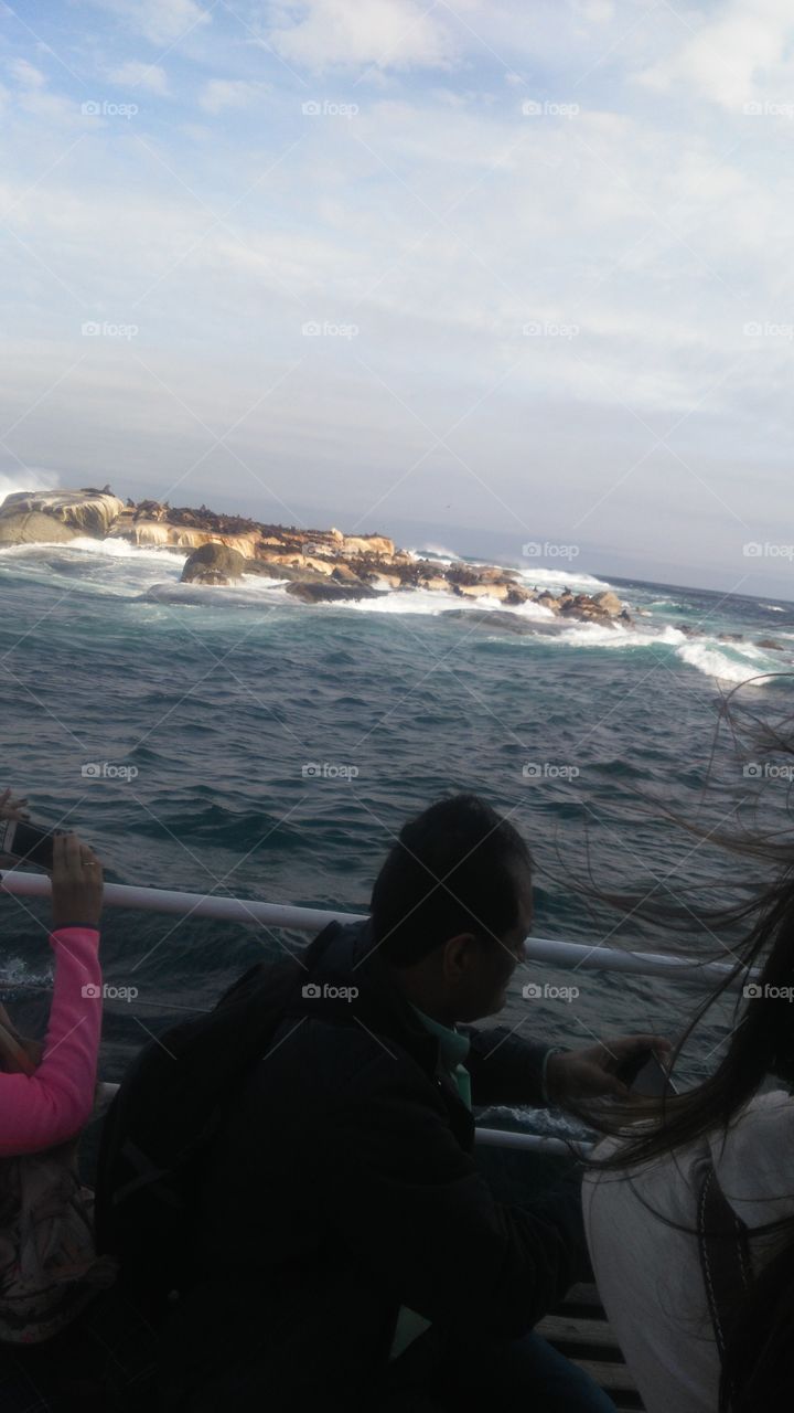 Seal Island..SA