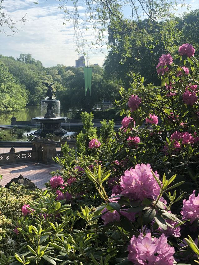 Bethesda fountain 