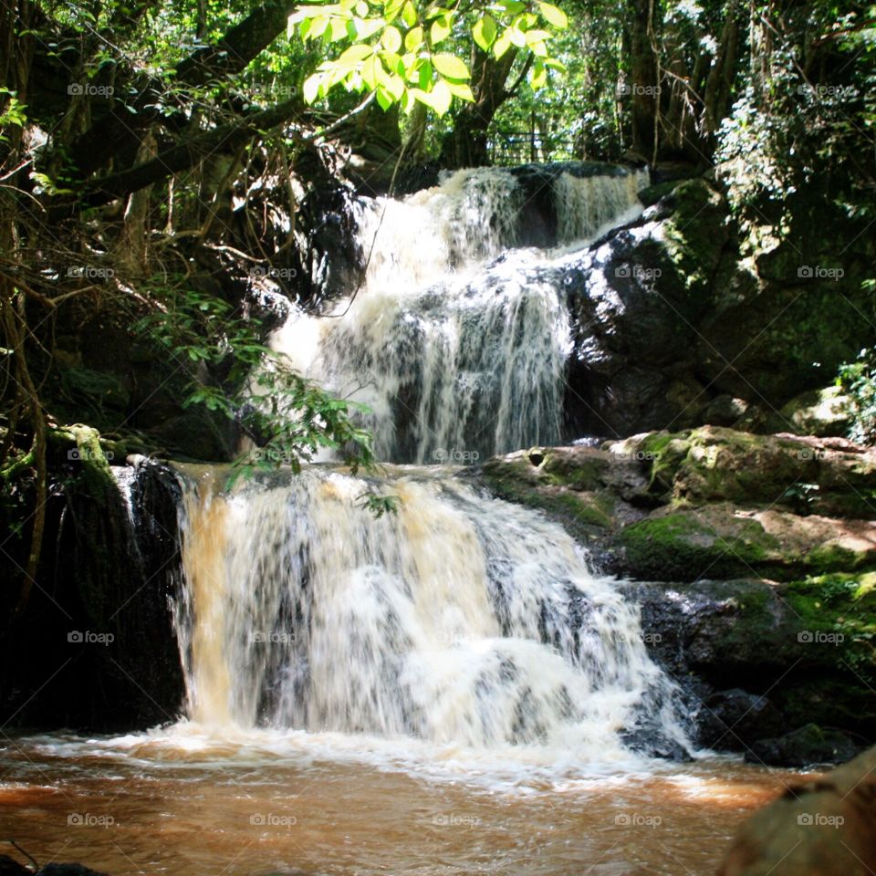 The falls in Karura Forest Park, Nairobi, Kenya.