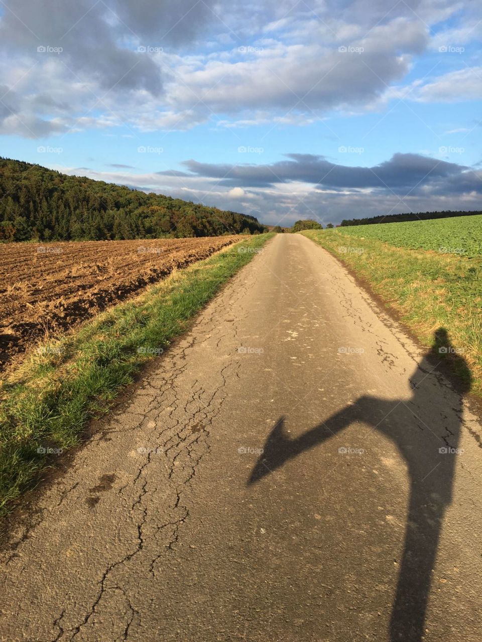 taking a walk in germany sauerland shadow sun