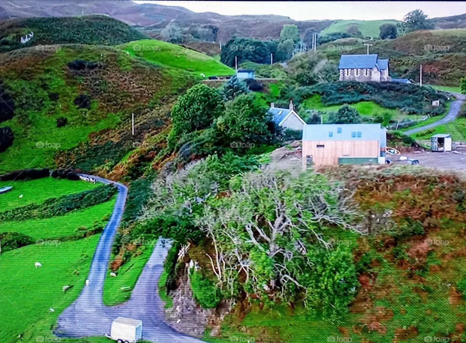 house's between nature