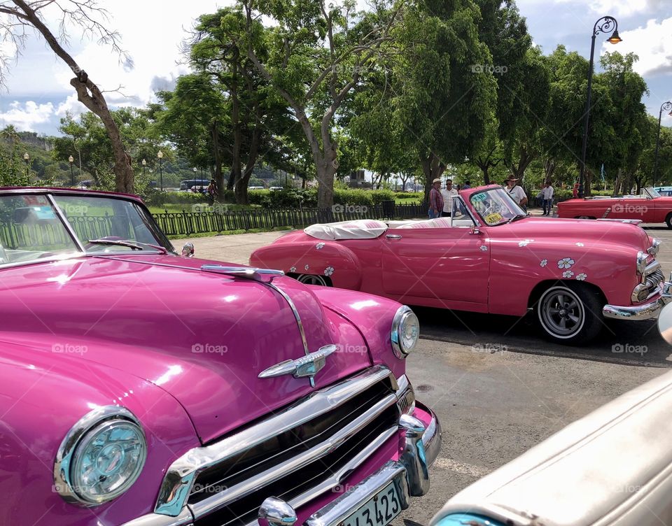 Pink Convertibles