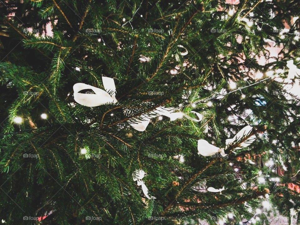 Tree of Christmas