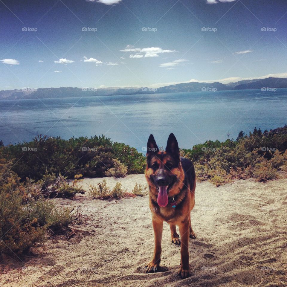 On a hike in Lake Tahoe.
