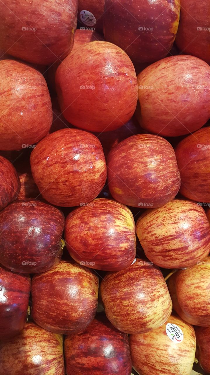 gala apples