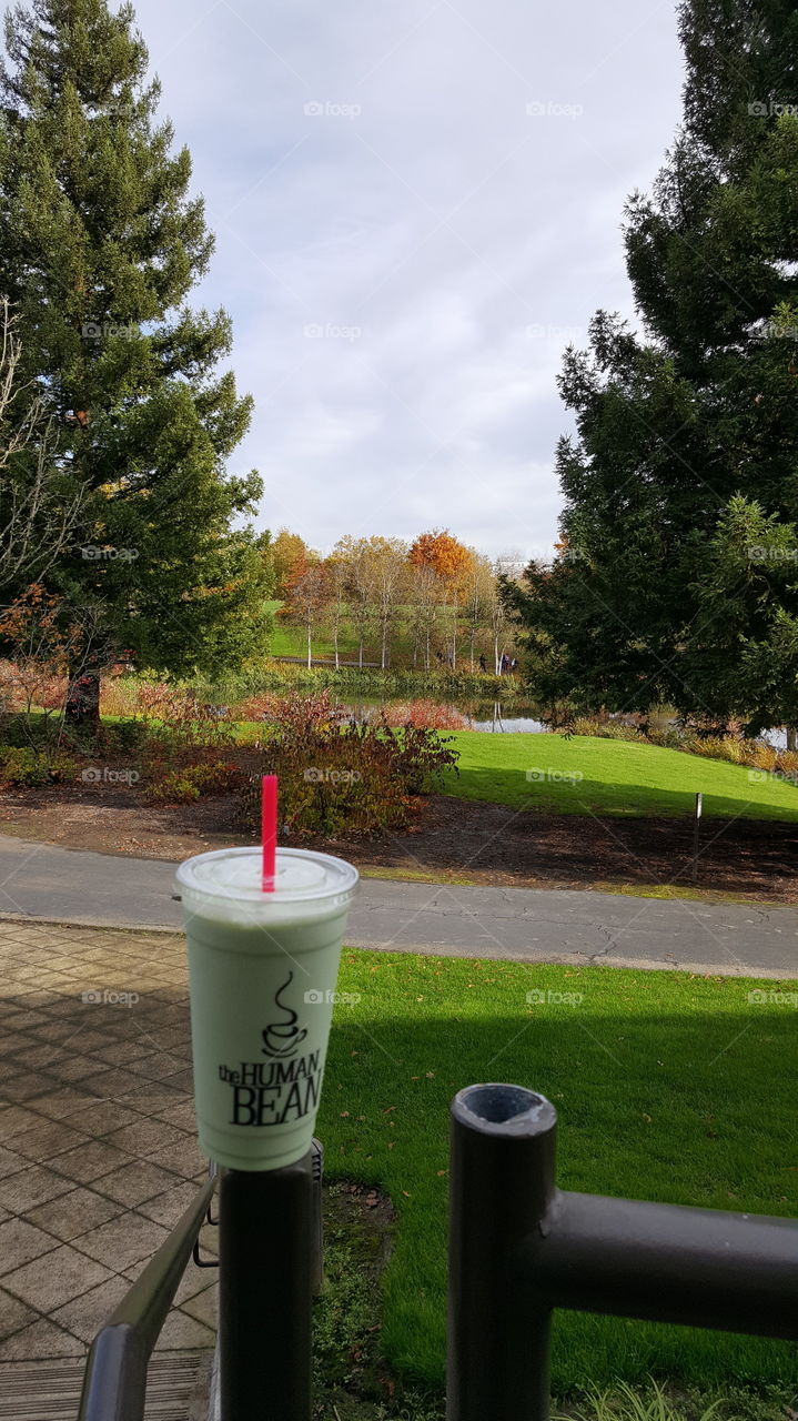 Green Tea Smoothie with beautiful landscape