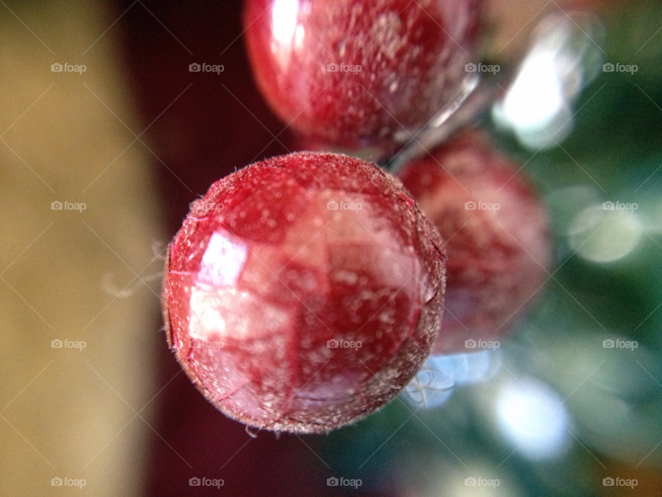 macro red christmas ball by clevonian