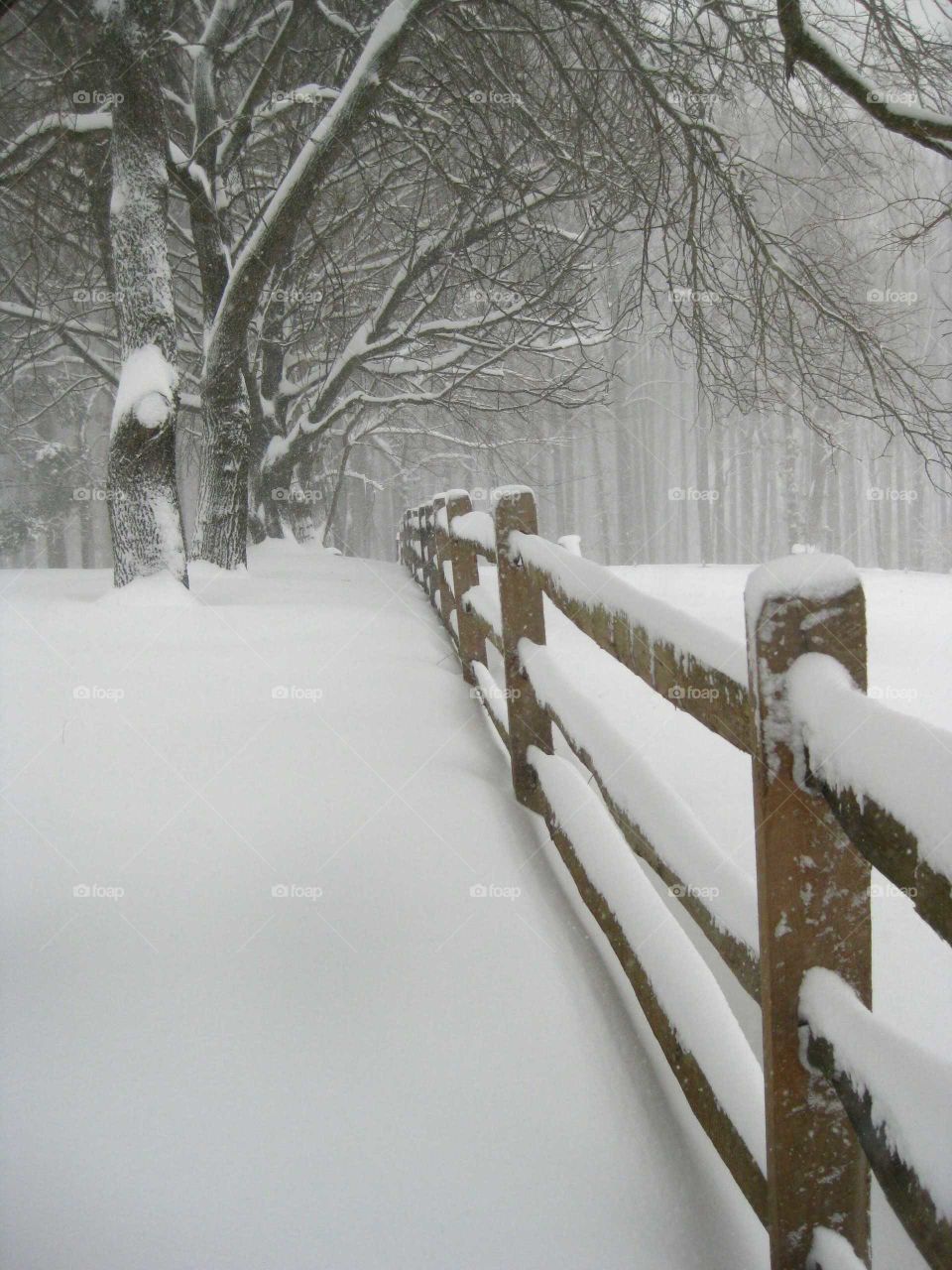 wooden fence in snow
