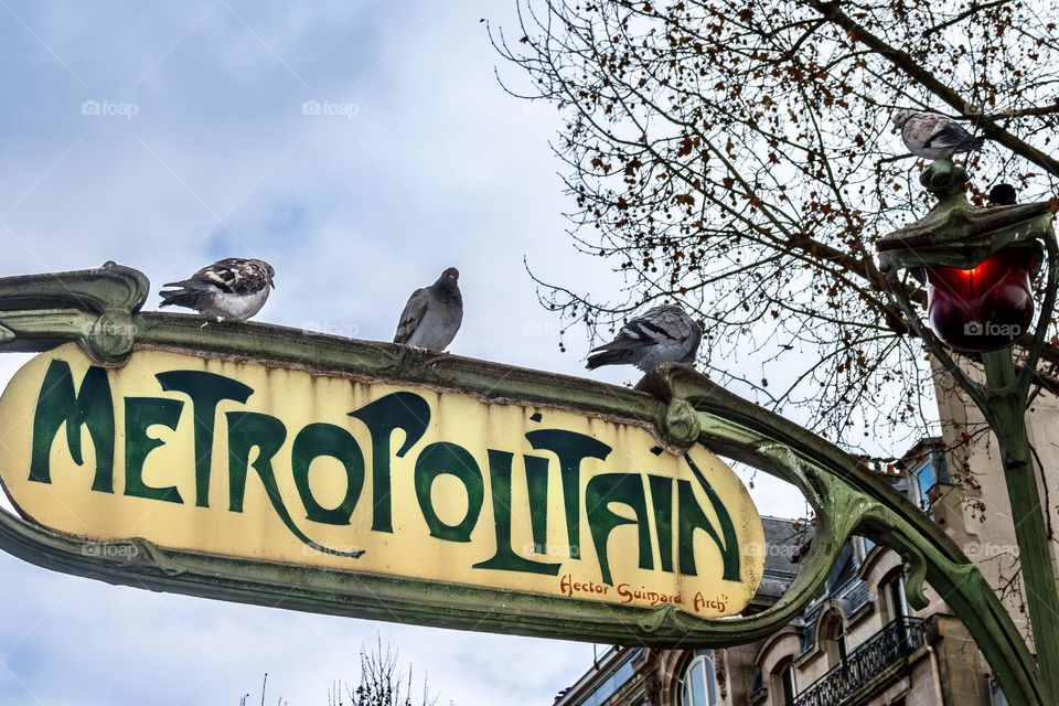 Sign for a metro station in Paris, with pigeons sitting on it.