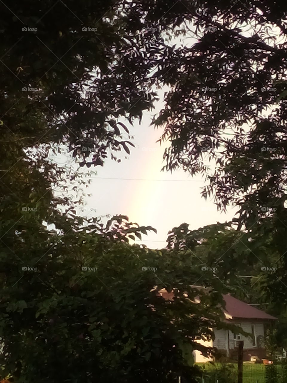 my rainbow farther away more trees and less rainbow remembering God's promise.