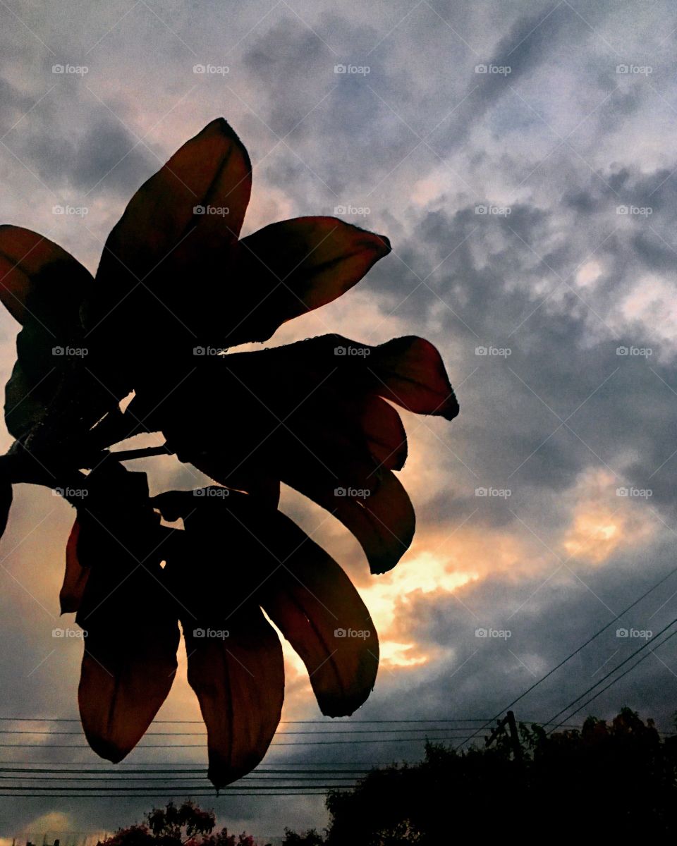 🌅Clareie, #Jundiaí. 
O #sol tenta aparecer, mas as #nuvens carregadas de #chuva não deixam. 
#QuintaFeira escura?
🍃
#sun #sky #céu #photo #nature #morning #natureza #horizonte #fotografia #pictureoftheday #paisagem #inspiração #amanhecer 