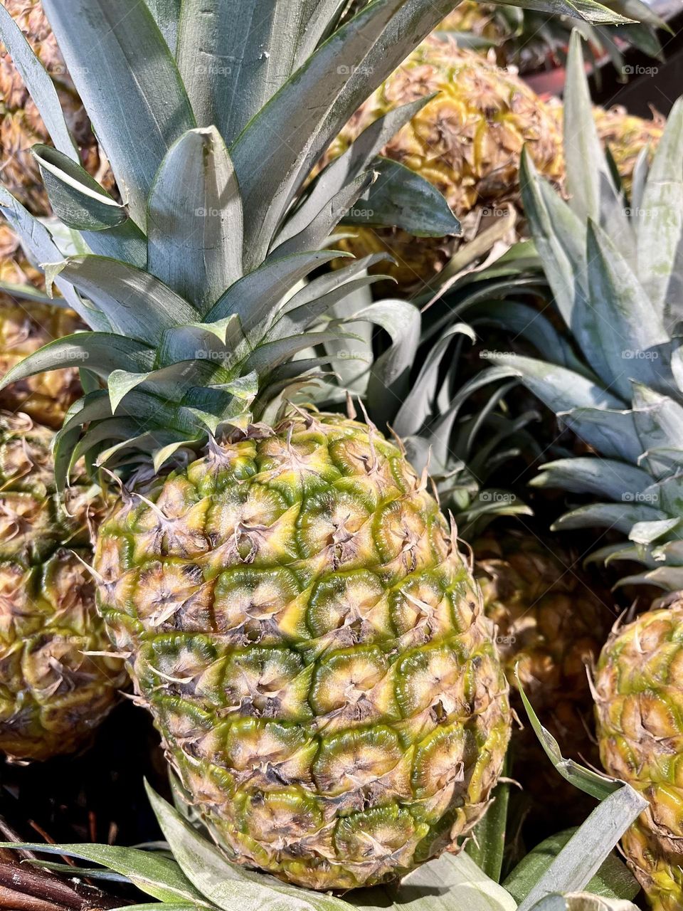 Close-up of pineapples