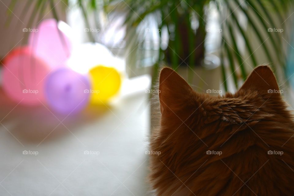 No Person, One, Blur, Color, Easter