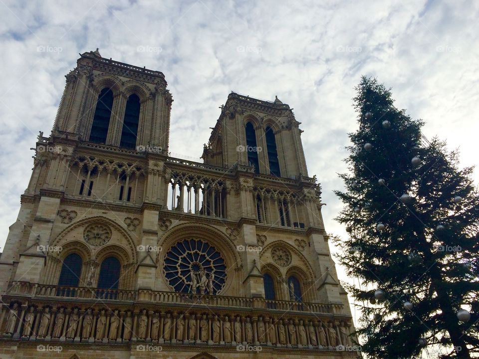 Notre Dame in winter 
