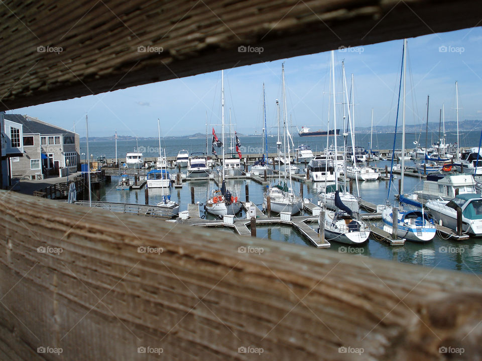 A view between two textured wooden fence.