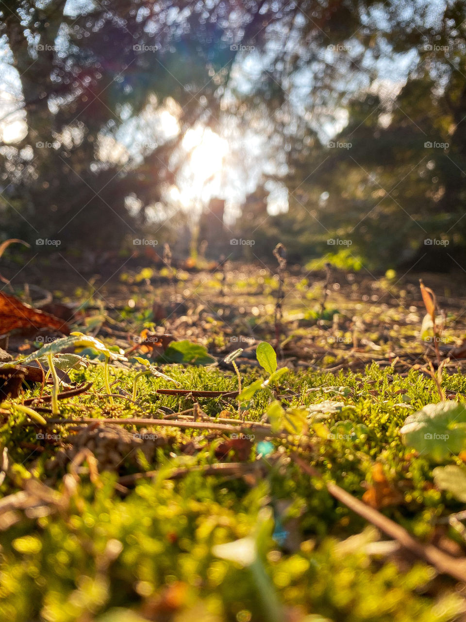 Morning view 📸🌱☀️🥰