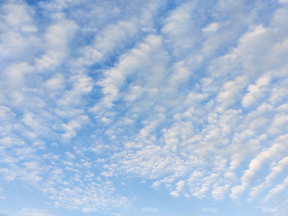 blue sky with white clouds