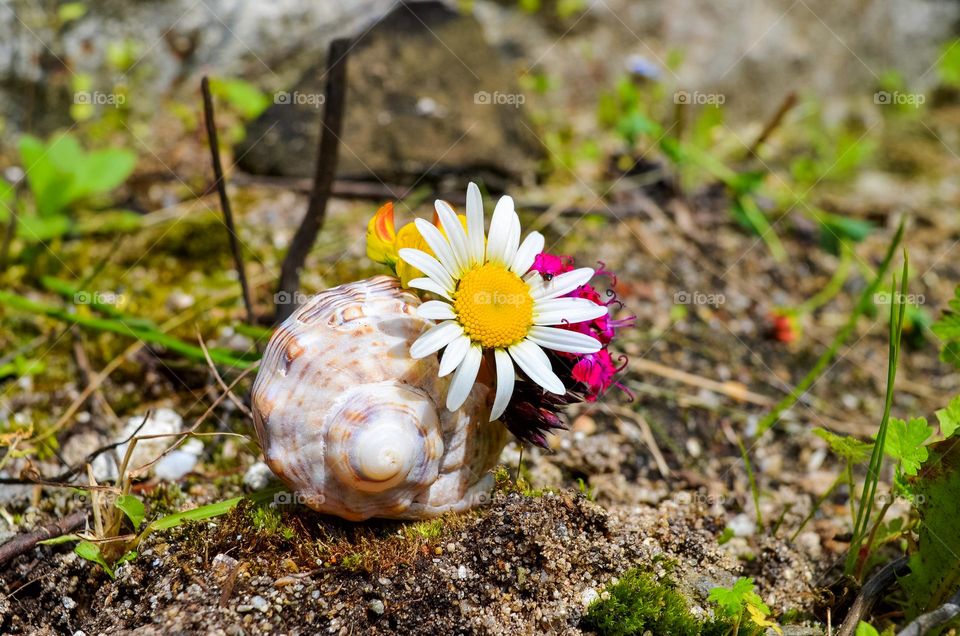 Spring Still life