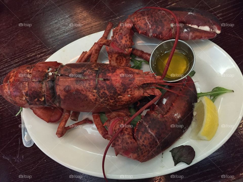 Yummy lobster