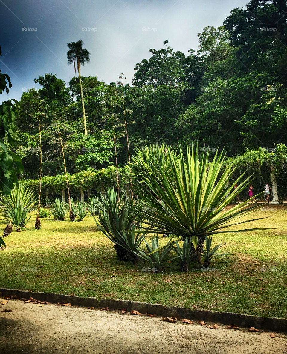 são Paulo