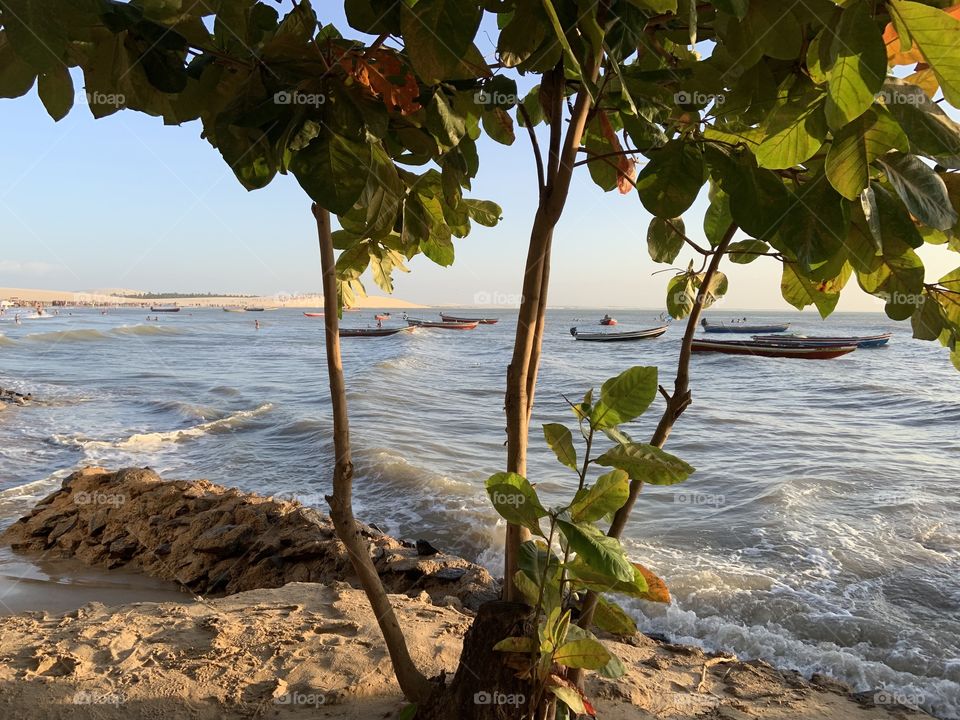 Jericoacoara beach with high tide. 
