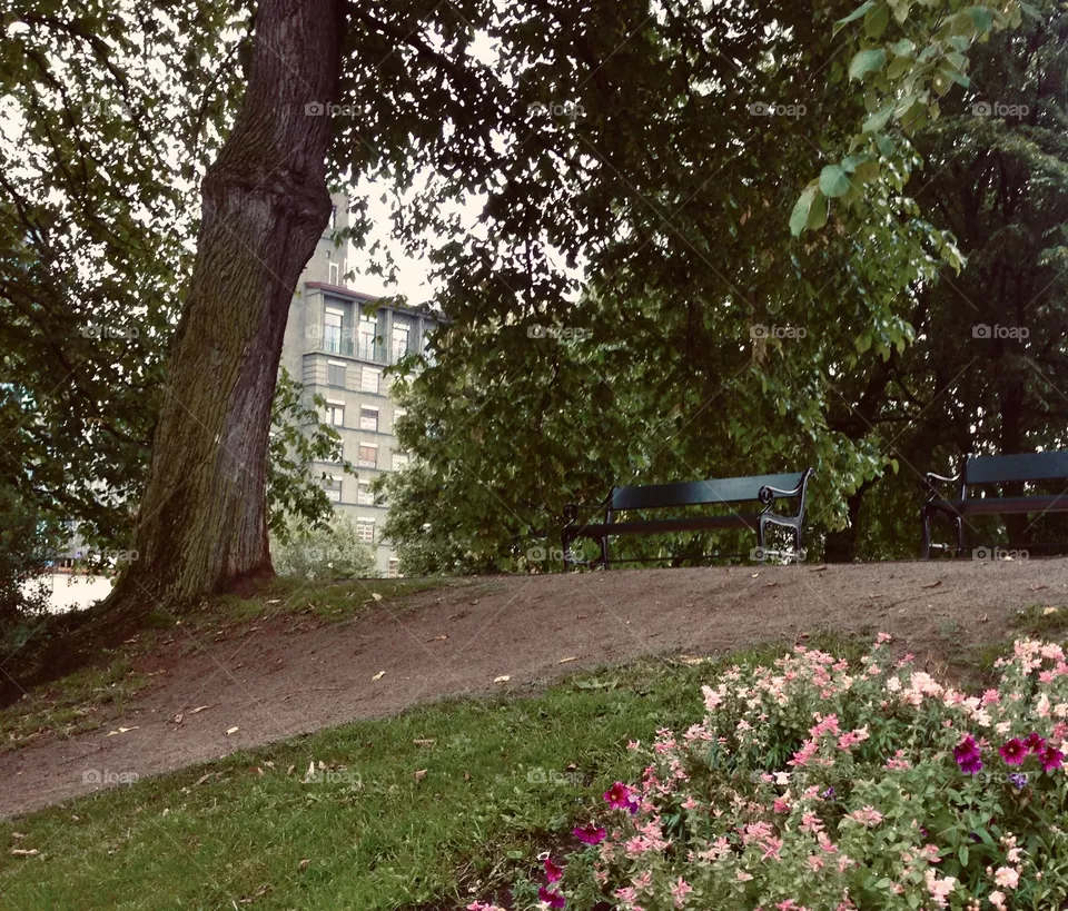 Park