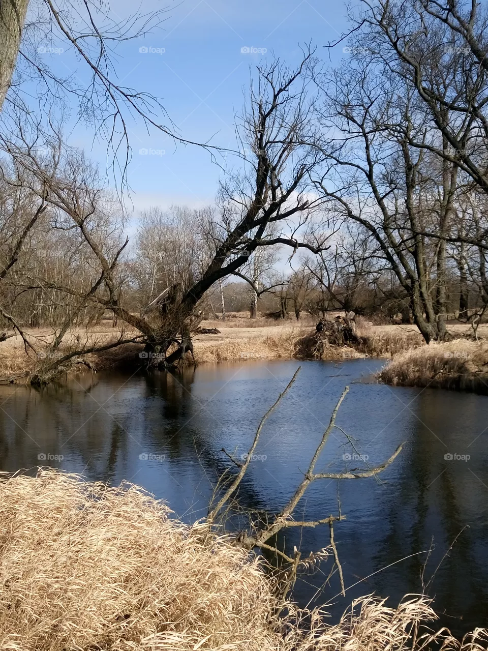 polish nature | river pools in my neighborhood