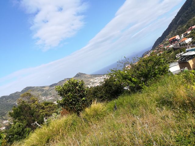Madeira Island
