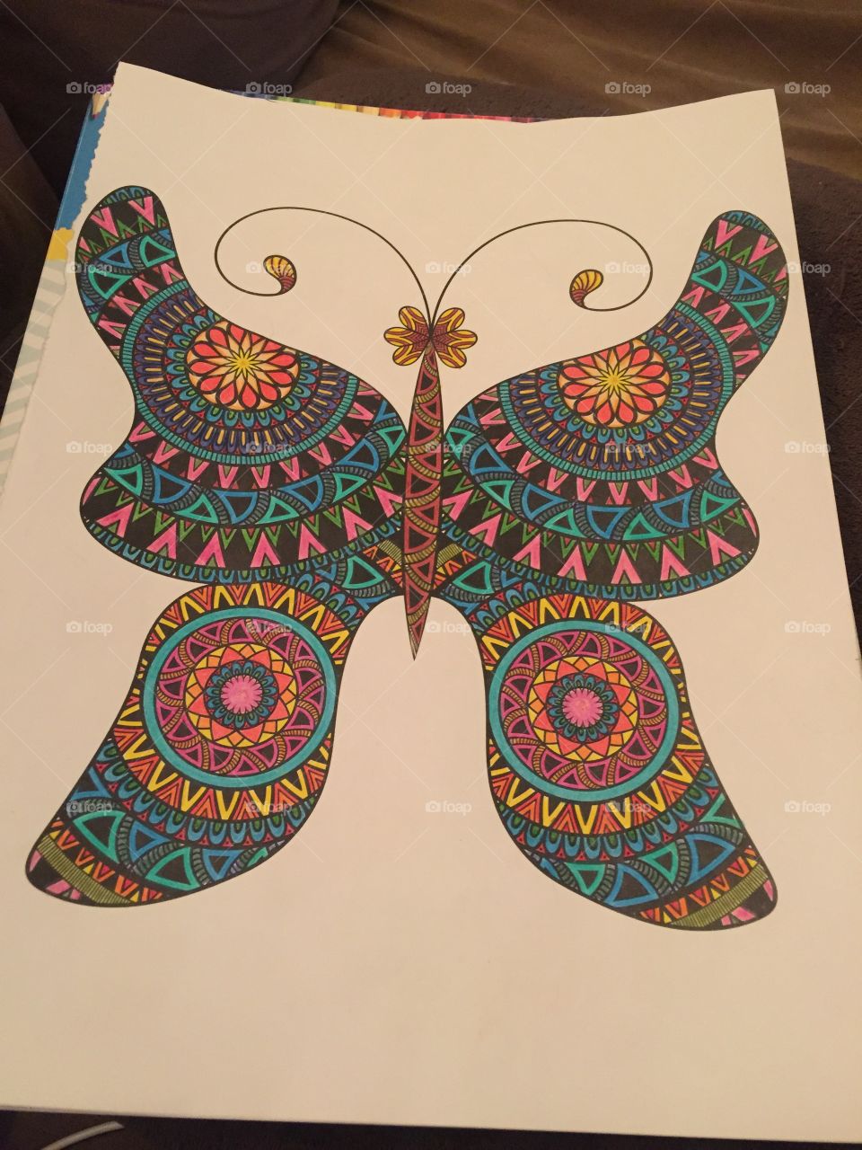 Brightly colored Butterfly mosaic 
