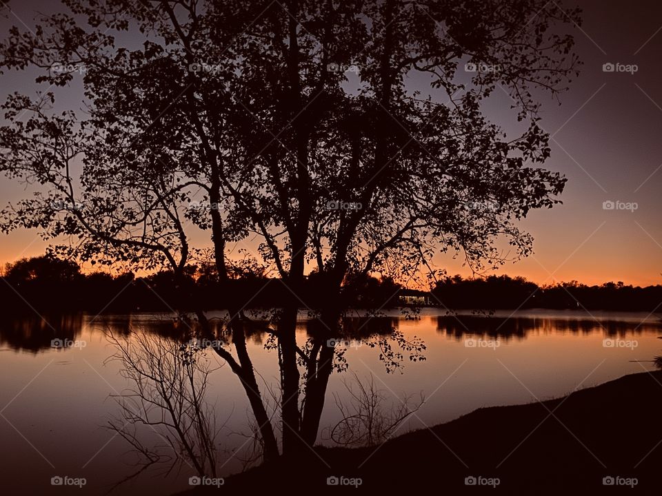 The Trees along the banks are fall prey of the night sky, the Night will soon have completed the end of the Day. 