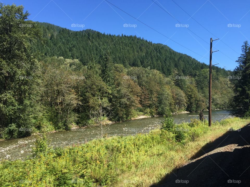 Landscape, Nature, Tree, No Person, Wood