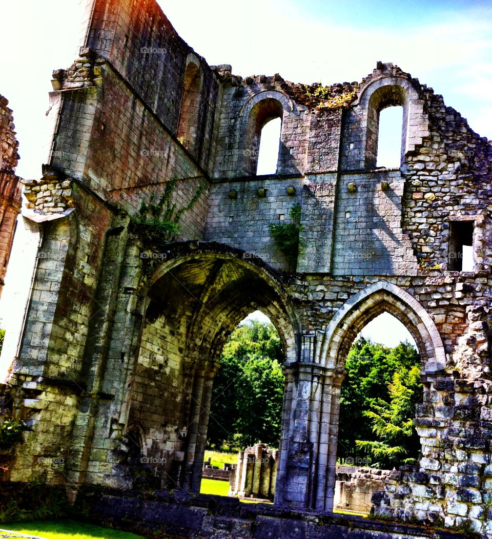 plants england windows architecture by binkyboo