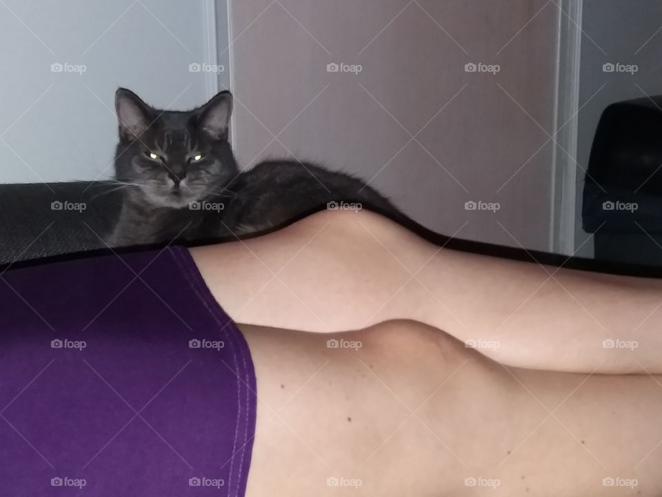 Nothing but a Catslife.