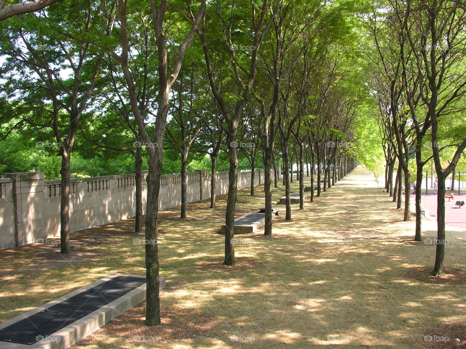 Millenium Park Chicago