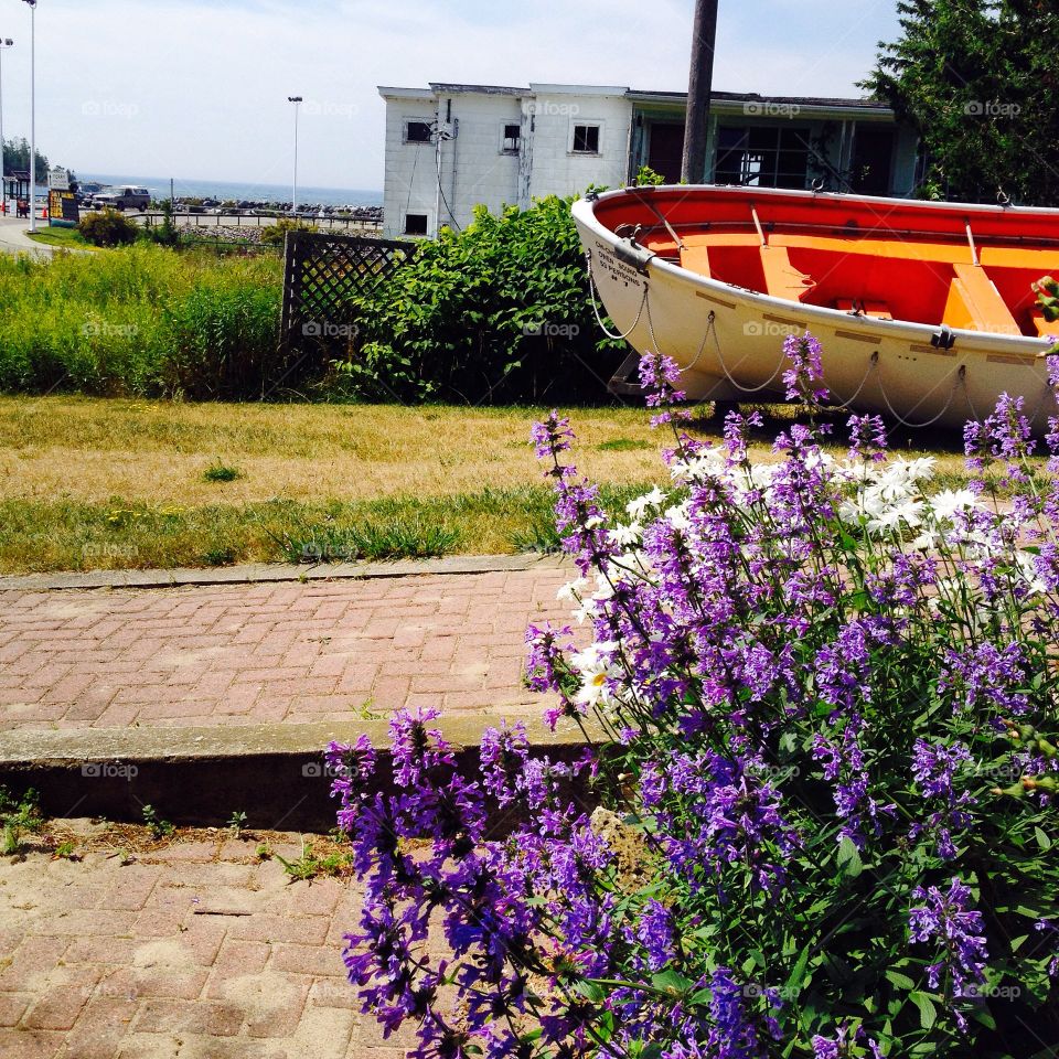 The colours of Manitoulin. Manitoulin Island is in Lake Huron in Canada and it is the largest fresh water island in the world. 