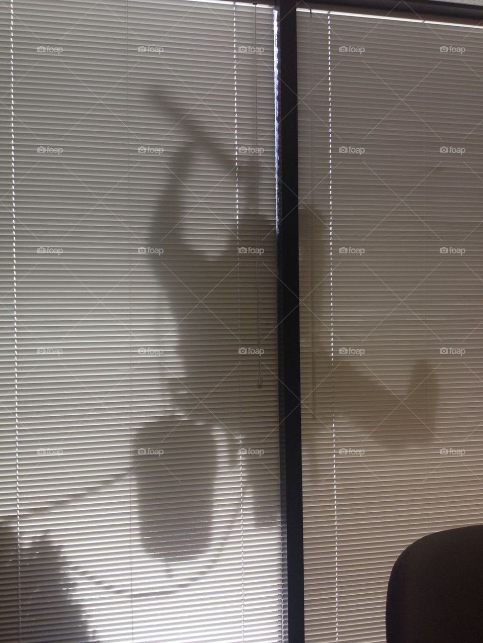 Window Washer Shadow
