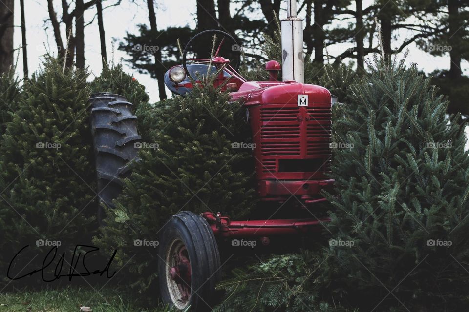 Christmas tree tractor.