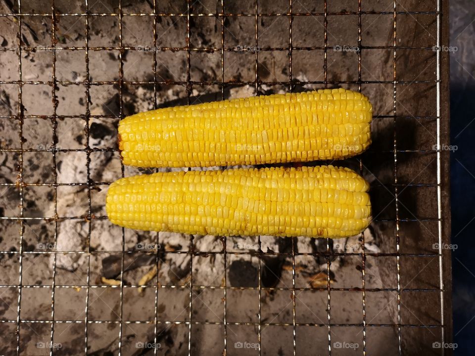 Top view of grilled corn on charcoal grill. Yellow Grilled Corn.