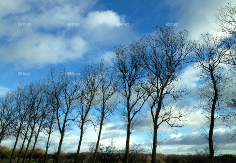 sky nature wind allé by cabday