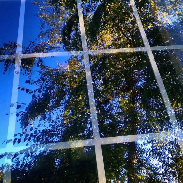 Window Reflection 
