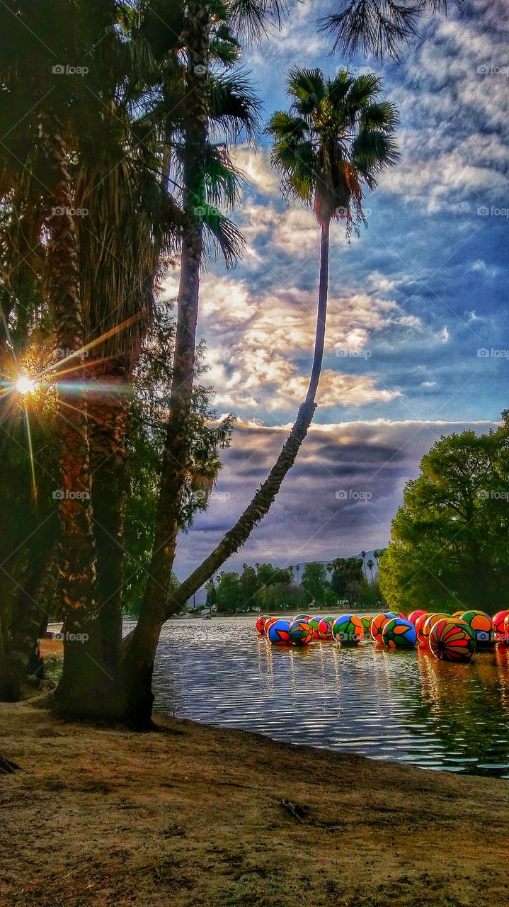 Fairmont Park Art Exhibition