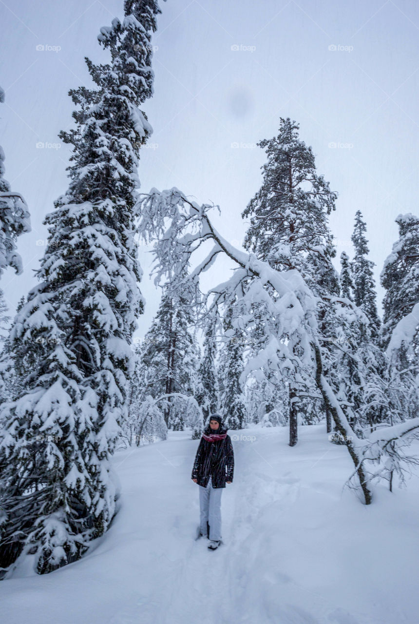 Winter Walk